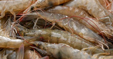 Fresh raw shrimp