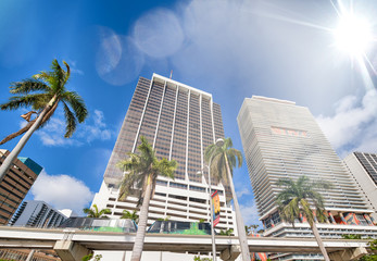 Buildings and monorail of Downtown Miami with palms on a sunny day