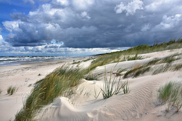 wydma - Morze Bałtyckie - Plaża - mierzeja wiślana - obrazy, fototapety, plakaty