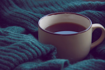 Obraz na płótnie Canvas cup of warm tea and knitted warm sweater