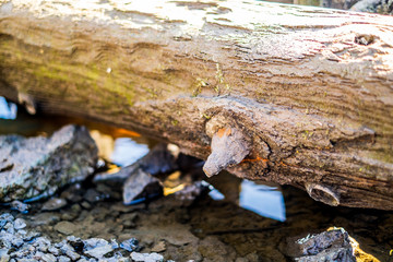 Old historical port construction method with iron nails isolated