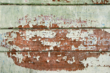 Aged green painted grunge wood texture