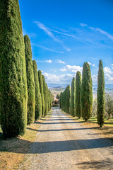 Beautiful Tuscany landscape	