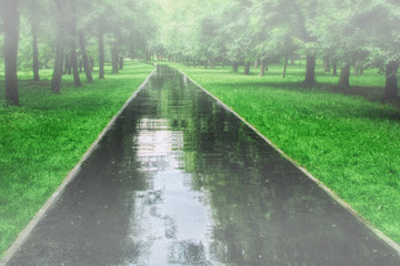 Park after rain. Wet track in summer after a shower. Sky reflected in asphalt. Green landscape after rain. Wet trees and grass in Park.