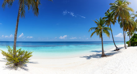 Fototapeta na wymiar Wide panorama view of a tropical paradise beach with turquoise sea, coconut palm trees and fine, white sand