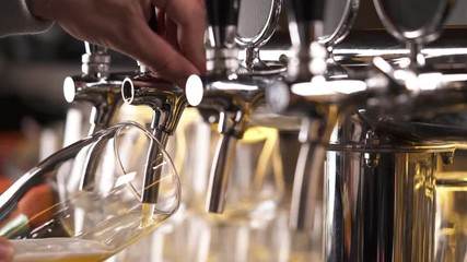 Bartender pouring draft beer in the bar. Close-up demonstration video. Beer is poured into a glass.