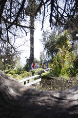 tree, nature, summer, park, flower, green, garden, street, trees, landscape, day, flowers, christmas, blue, red, grass, sky, cemetery, decoration, house, colorful , flags