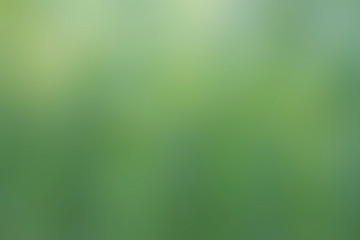 Fototapeta premium Abstract green blurred background. Colorful gradient defocused backdrop. Blur abstract background. Gradient surface