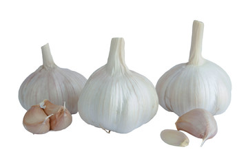 garlic isolated on white background