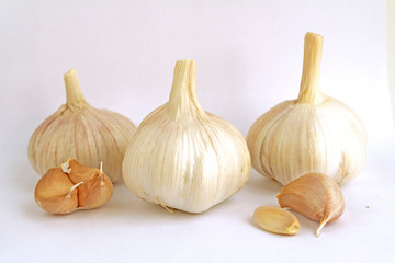 Obraz premium lots of garlic with slices on a white background