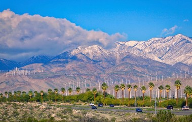 Palm Springs with palm trees and mountains