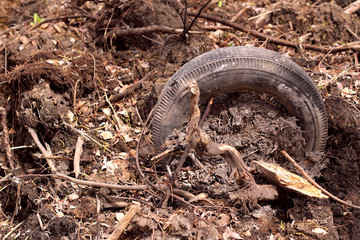 Old car tires in the garbage in the forest. The concept of ecology and waste. Cropped shot, horizontal, place for text.