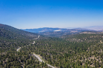 White Ribbon of Highway in Forest