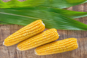 Mais reif mit grünen Blättern liegt auf dem Tisch