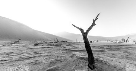 The Dead Valley
