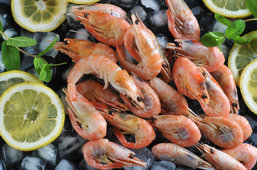 Shrimp on ice. Sliced lemon and mint herbs complement the composition. Dark background. Close-up. View from above.