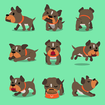 Cartoon character pit bull terrier dog poses for design.
