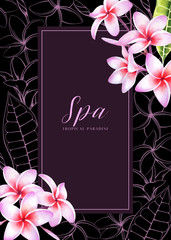 Banner template with plumeria flowers on dark background. Tropical illustration for spa salon or packaging.