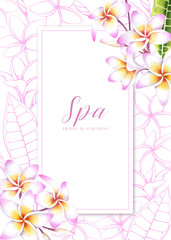 Banner template with plumeria flowers on white background. Tropical illustration for spa salon or packaging.