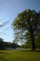 Obraz premium Jardin botanique de Meise (Brabant flamand- Belgique)