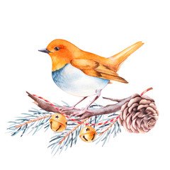 Robin bird sitting on a twig with cones, jingle bells and pine branches. Isolated watercolor christmas illustration.