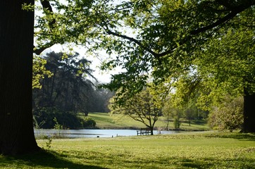 Jardin botanique de Meise (Brabant flamand- Belgique)