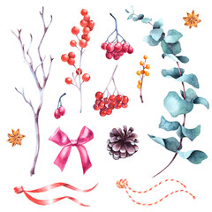 Set of watercolor winter berries, eucalyptus, cones, ribbons and twigs. Hand drawn isolated floral holiday design elements.