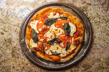 New York Margherita Pizza