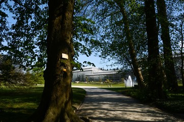 Jardin botanique de Meise (Brabant flamand- Belgique)