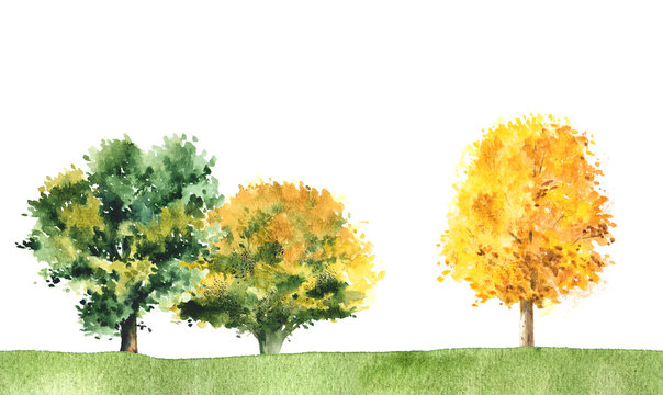 Watercolor park landscape. Autumn yellor and green trees. Isolated illustration.