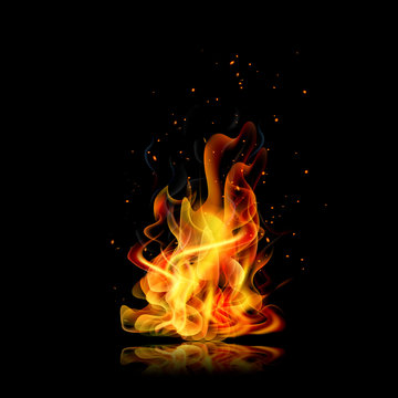 Fire flame. Black background. Realistic fire. Vector