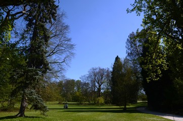 Jardin botanique de Meise (Brabant flamand- Belgique)