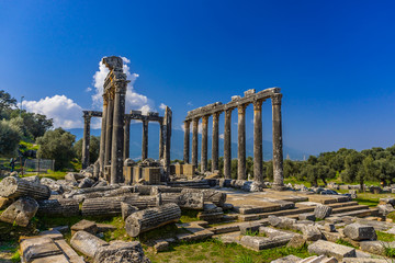Fototapeta premium Euromos Ancient City. The temple of Zeus Lepsinos (Lepsynos) was built in the 2nd century. Milas, Mugla, Turkey
