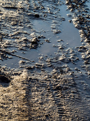 dirty rural road with deep tire tracks