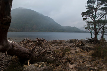 Killarny National Park