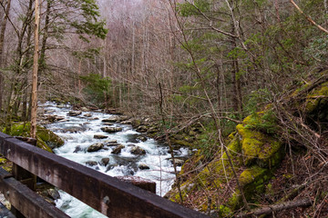 View from bridge over mountain stream in Great Smoky Mountains National Park