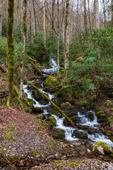 Waterfall in the Great Smoky Mountains National Park