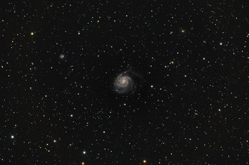 Messier 101 Pinwheel Galaxy