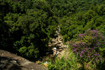 View from the top of the waterfall