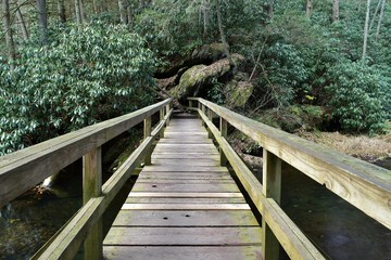 Fototapeta premium Wooden bridge over a stream