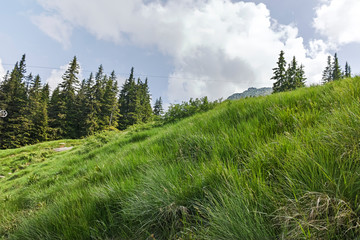 Summer Landscape of Vitosha Mountain, Sofia City Region, Bulgaria