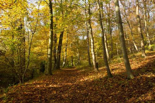 vall&eacute;e de chevreuse