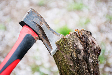 Axe in the stump. Axe in wood. Axe wedged into tree stump. Save the forest. Environmental concept