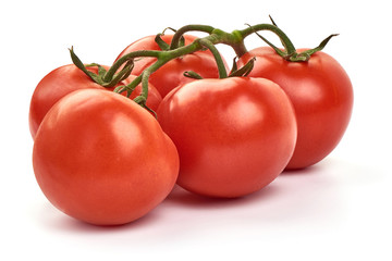 Fresh organic tomatoes, close-up, isolated on white background
