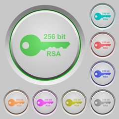 256 bit rsa encryption push buttons