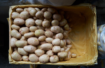 New potato background, top view. Harvest, gardening and agriculture concept