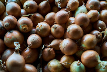 Fresh Ripe onions bulb background, close-up, top view