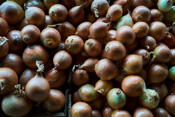 Fresh Ripe onions bulb background, close-up, top view