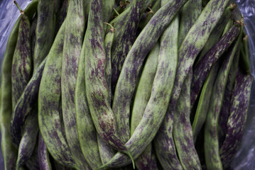 Freshly Picked Green Beans background, close-up, top view 