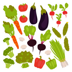 Collection of fresh vegetables in flat design style isolated on white background